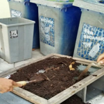 Menyaring Kompos